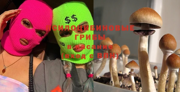 прущая мука Белокуриха