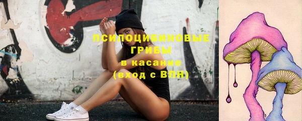 твердый Беломорск
