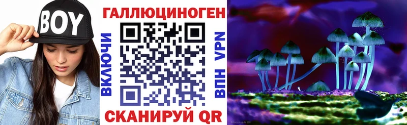 закладки  Нерчинск  Псилоцибиновые грибы GOLDEN TEACHER 